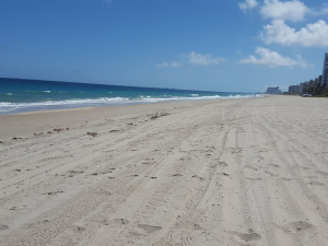 Beach-Scene