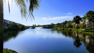 20180623_081553-EFFECTS