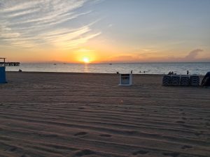 20260729_065021